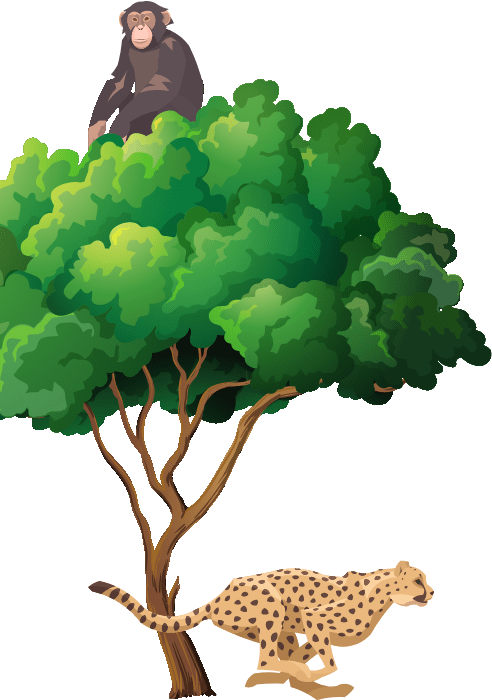 Cheetah under a tree Illustration