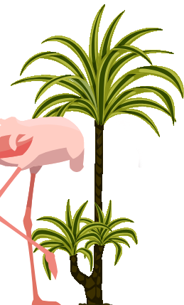 Flamingo Body Illustration