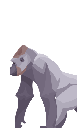 Gorilla Illustration