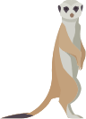 Meerkat Illustration