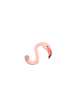 Flamingo Head Illustration