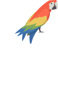 Parrot Body Illustration