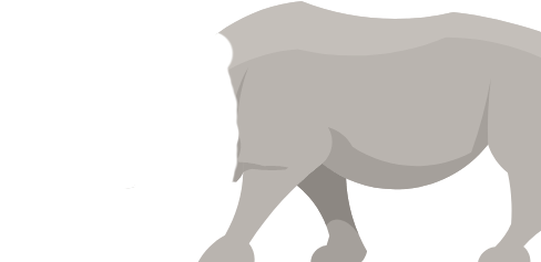 Rhino Body Illustration