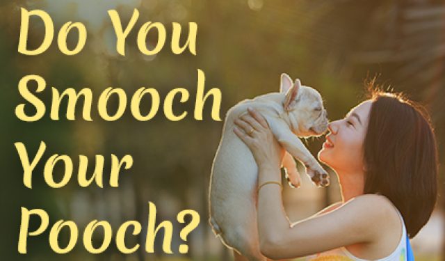 Do You Smooch Your Pooch? (featured image)