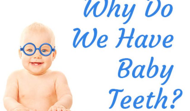 Why Do We Have Baby Teeth? (featured image)